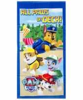 Strandlaken paw patrol all paws on deck groot